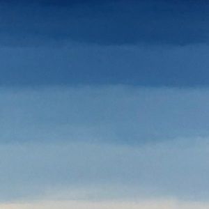 Meet your Posher, Louisa